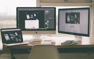 Comment les reclus de la forêt construisent des sites web qui cartonnent